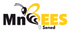 MnBees Gafsa - Sened